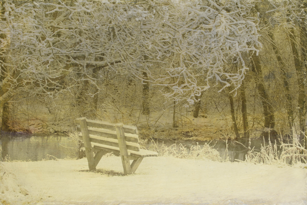 Dorothy Simpson Krause, Spot for Contemplation, 2006