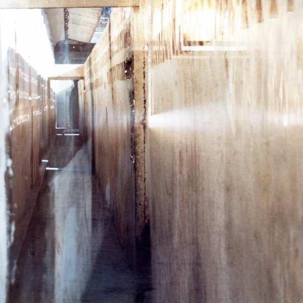 Dorothy Simpson Krause, Long Haul, 2005