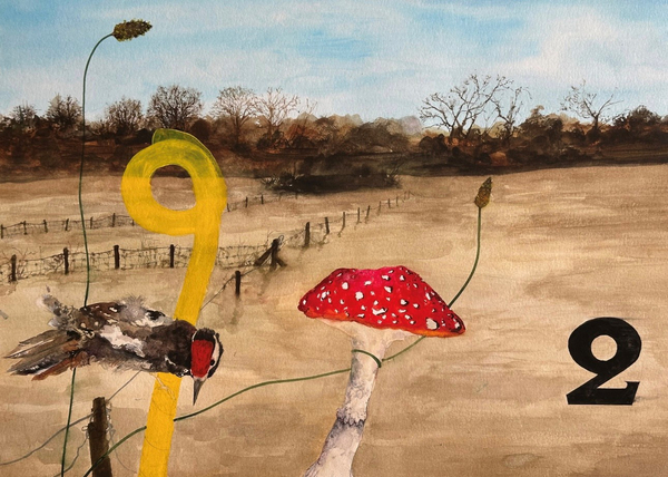 David Rees Davies, Thinking, Listening, Walking, Remembering. (Woodpecker)