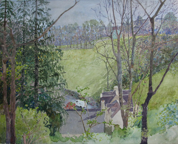 Annie Williams, View from the Shed