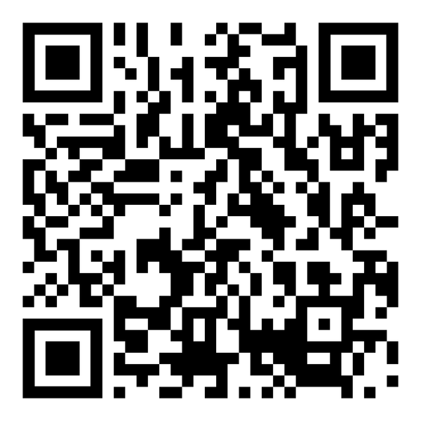 ERWIN WURM 歐文．沃姆