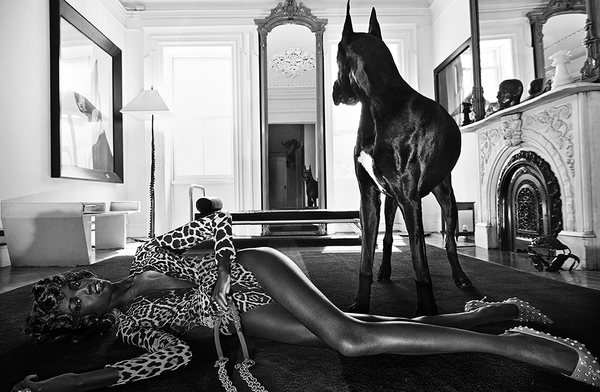 Steven Klein, Anok and Prince 04, 2019