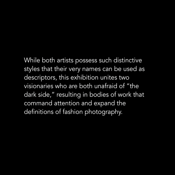 Helmut Newton x Steven Klein