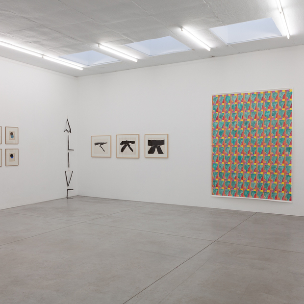 20170624 Kristof De Clercq 003 Af