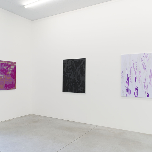 Evi Vingerling Upbringing 2019 Installation View 2 I Kristof De Clercq Gallery