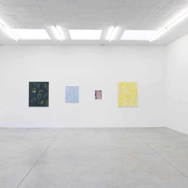 Evi Vingerling Upbringing 2019 Installation View 7 I Kristof De Clercq Gallery