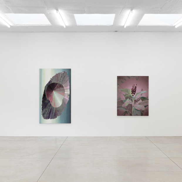 20200706 Kristofdeclercq Jorisghekiere0725 Cc Copy