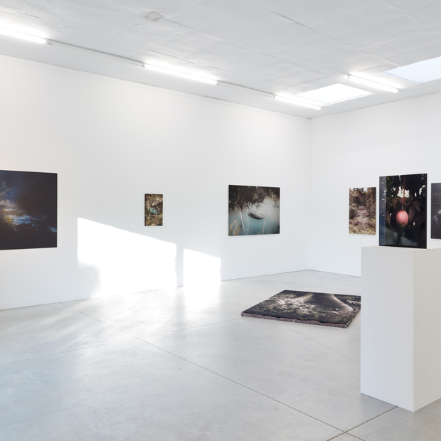 L Onard Pongo Primordial Earth Interpretations 2022 Installation View 01 Kristof De Clercq Gallery We Document Art