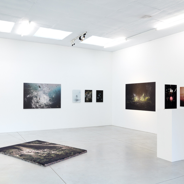 L Onard Pongo Primordial Earth Interpretations 2022 Installation View 04 Kristof De Clercq Gallery We Document Art
