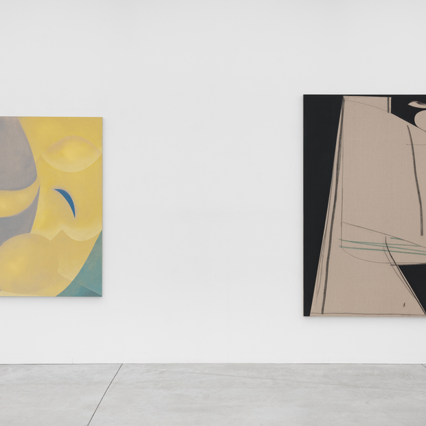 Aur Lie Gravas Faces 2023 24 Installation View 06 Kristof De Clercq Gallery Shivadas De Schrijver