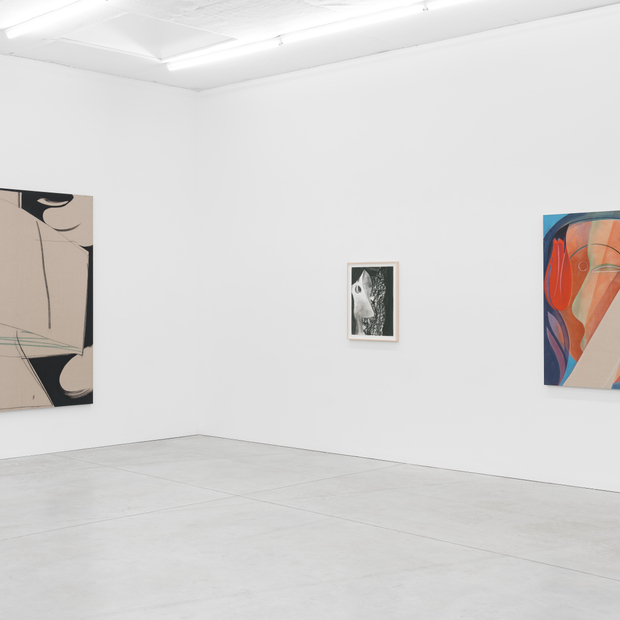 Aur Lie Gravas Faces 2023 24 Installation View 08 Kristof De Clercq Gallery Shivadas De Schrijver