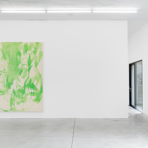 Klaas Kloosterboer Met Opzet En Zonder 2024 Installation View 05 Kristof De Clercq Gallery Shivadas De Schrijver