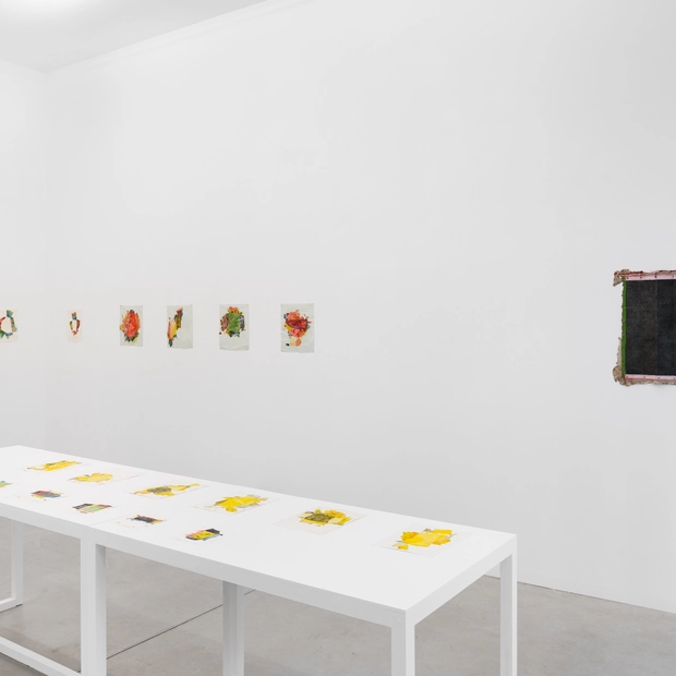 Jeff Mcmillan Under The Pavement The Soil Is Dreaming Of Grass Installation View 14 Kristof De Clercq Gallery Shivadas De Schrijver