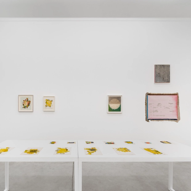 Jeff Mcmillan Under The Pavement The Soil Is Dreaming Of Grass Installation View 19 Kristof De Clercq Gallery Shivadas De Schrijver