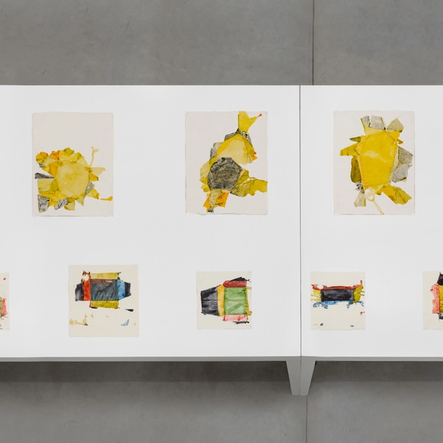 Jeff Mcmillan Under The Pavement The Soil Is Dreaming Of Grass Installation View 21 Kristof De Clercq Gallery Shivadas De Schrijver