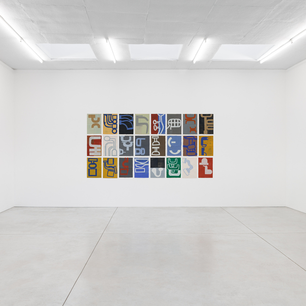 installation views by Shivadas De Schrijver