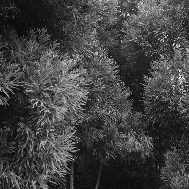 Blanco. Soloshow Awoiska van der Molen in Photography Museum FOAM, Amsterdam.