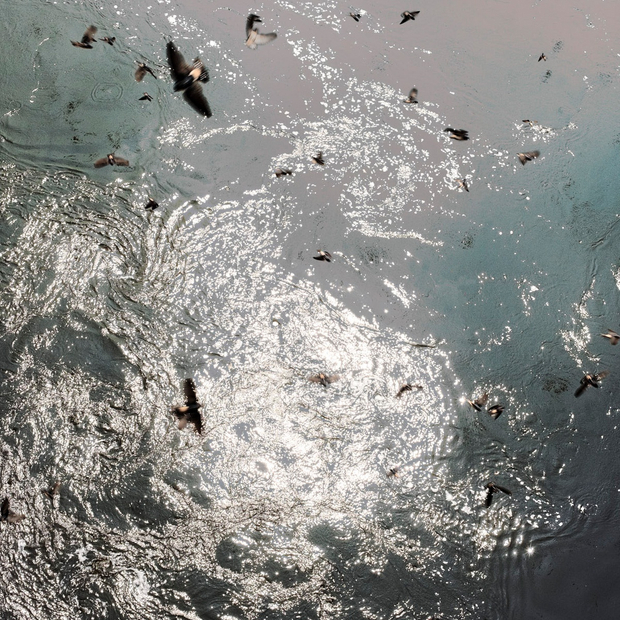 Léonard Pongo at BredaPhoto Festival