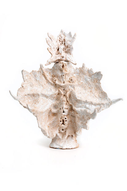 Мотив летучей мыши, повторяющийся в работах, связан с серией опытов над стаями рукокрылых. В ходе эксперимента было взято по одной...