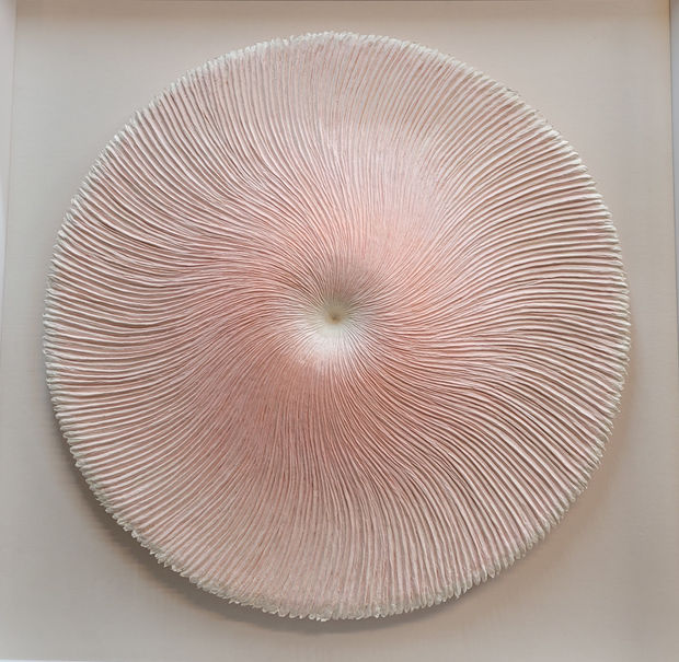 Heekyung Kim, Bloom 240105, 2024