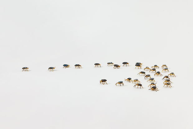 Elizabeth Jaeger&rsquo;s 'Beetles' (2024) is an immersive installation comprising hundreds of handmade beetles crafted from brass and ceramic. Each beetle...