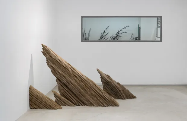 CRISTINA ALMODOVAR, AFFLEUREMENT, 2024