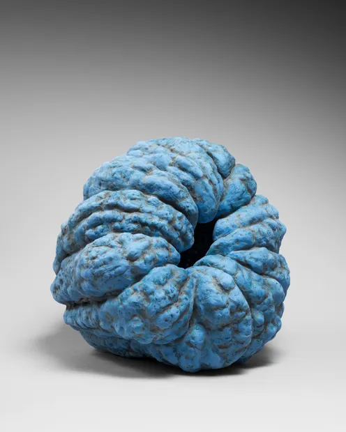 KATSUMATA CHIEKO, Akoda pumpkin, 2024