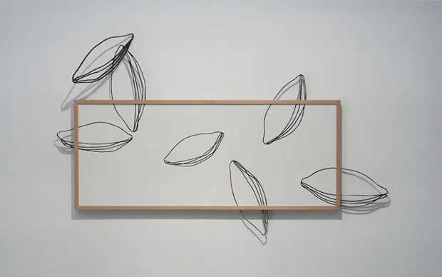 CRISTINA ALMODOVAR, Les pollens, 2025