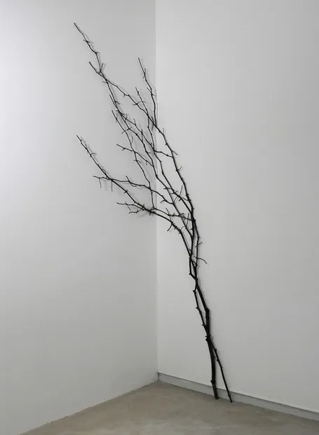 CRISTINA ALMODOVAR, Le lierre, 2025