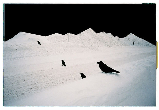 Tereza Kozinc, Hokkaido #5, 2018