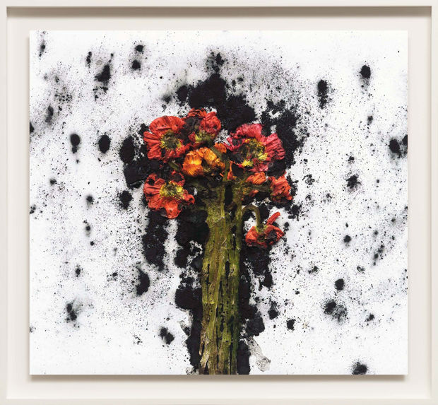 Adam Fuss&rsquo;s Theia explicitly pursues new artistic territory, signaled by its namesake&mdash;the hypothetical planet that may have collided with Earth,...