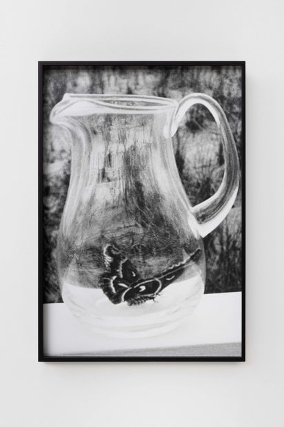 Talia Chetrit, Butterfly, 1995/2021