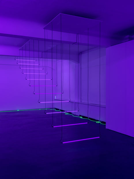 Mit Light Steps (1990) schafft Brigitte Kowanz eine raumbezogene und wandelbare Schwarzlichtinstallation, hier aus elf Schwarzlichtröhren, die stufenartig zu einer...