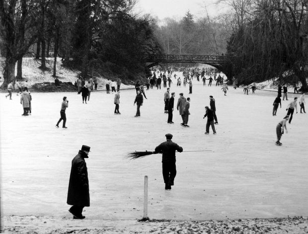 Willy Ronis, Bois de Boulogne, Paris, 1954