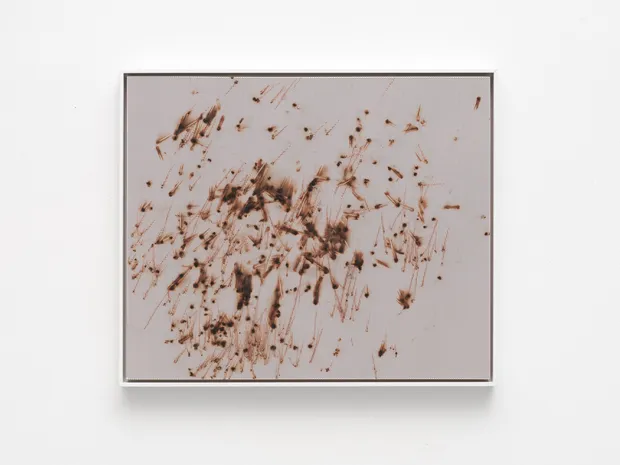 Thomas Wachholz, Honeycomb 01, 2025
