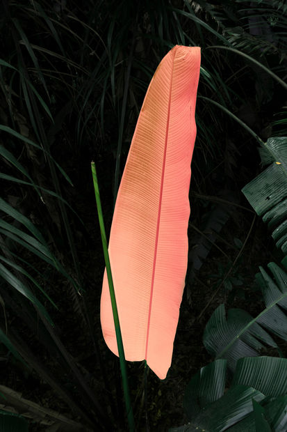 Elsa Leydier, Sans Titre #1 | Braços Verdes e Olhos Cheios de Asas, 2017