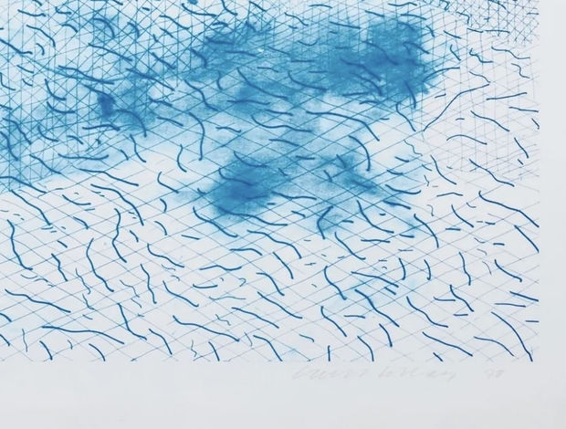 Lithograph of Water Made of Lines