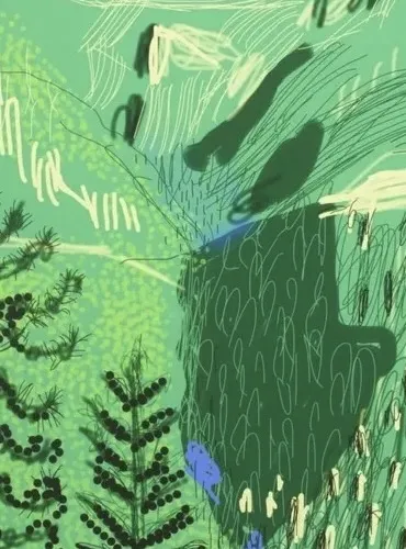 Yosemite Suite No.19