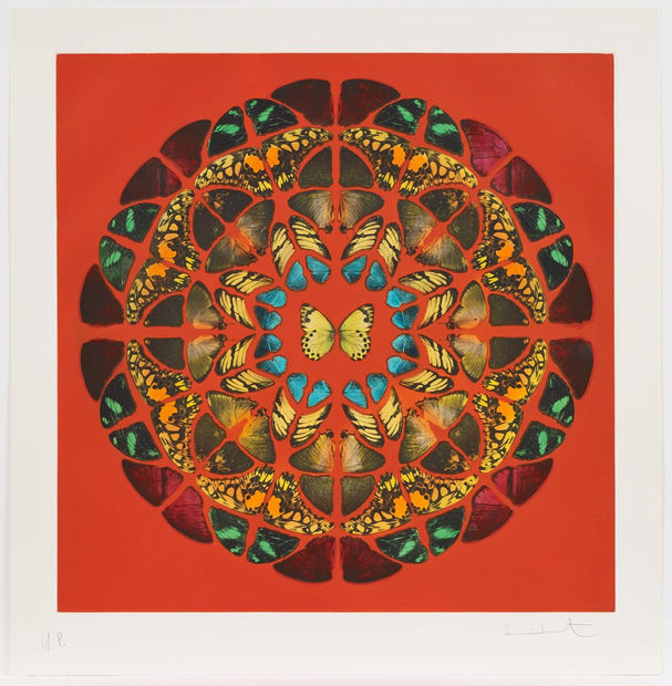 Damien Hirst Butterflies, About