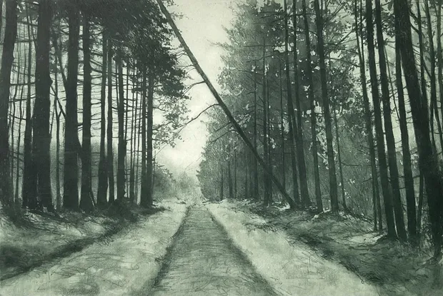 Roy Wood Prize for Printmaking, £300 for printmaking