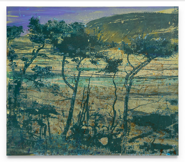 'There&rsquo;s a lot going on in what is ostensibly a tranquil scene.' - Matt Price