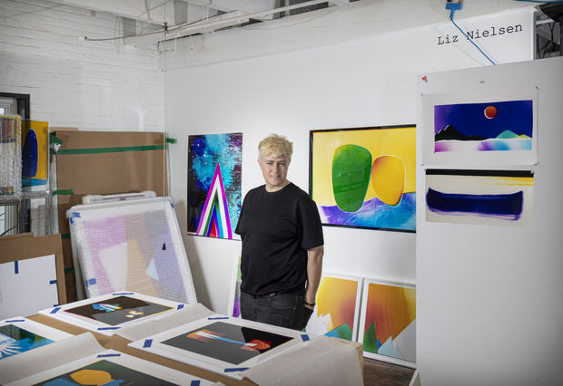 LIZ NIELSEN (b. 1975 in Ashland, WI) received her Master of Fine Arts from the University of Illinois Chicago, Chicago,...