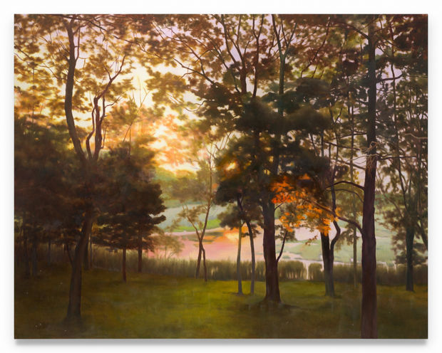 'We might think of Gornik&rsquo;s paintings, then, as images of the landscape as it is internalized. When she paints the...