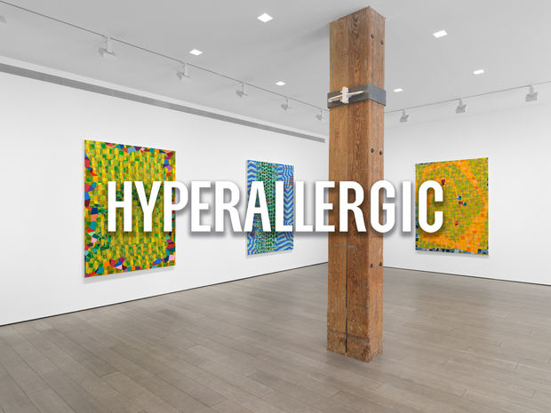 in-depth review by John Yau 16 September 2025