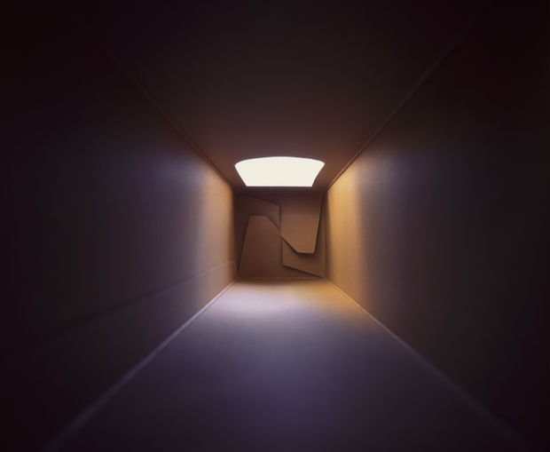 When printed in large scale, the images appear to form virtual extensions of the spaces they occupy. In altering dimensions...