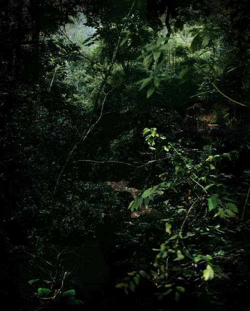 C A I O R E I S E W I T Z &ldquo;Paretinga&rdquo;, 2010 c-print em metacrilato c-print mounted...