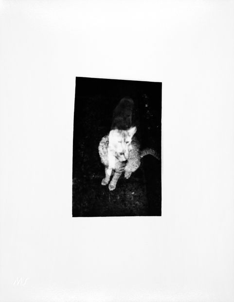 G E R A L D O D E B A R R O S Sem t&iacute;tulo da s&eacute;rie 'Sobras',...