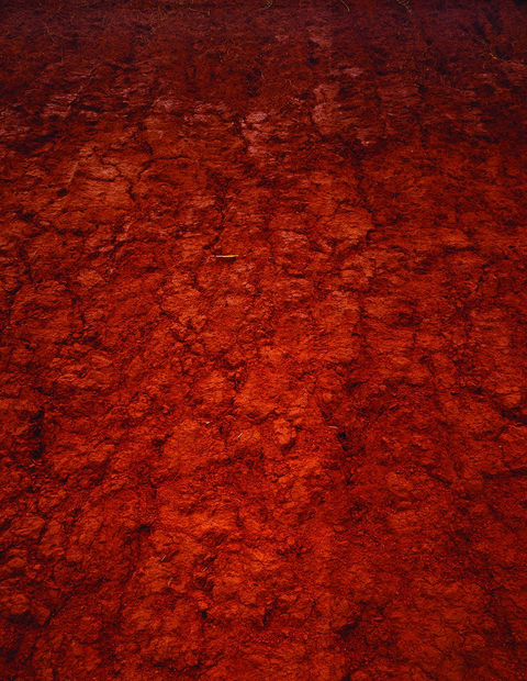 C A I O R E I S E W I T Z &ldquo;Boituva&rdquo;, 2008 c-print em metacrilato c-print mounted...