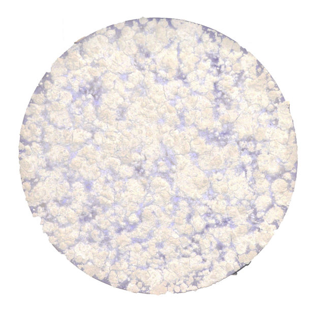 B O S C O S O D I Sem t&iacute;tulo | Untitled, 2023 t&eacute;cnica mista sobre tela mixed media...