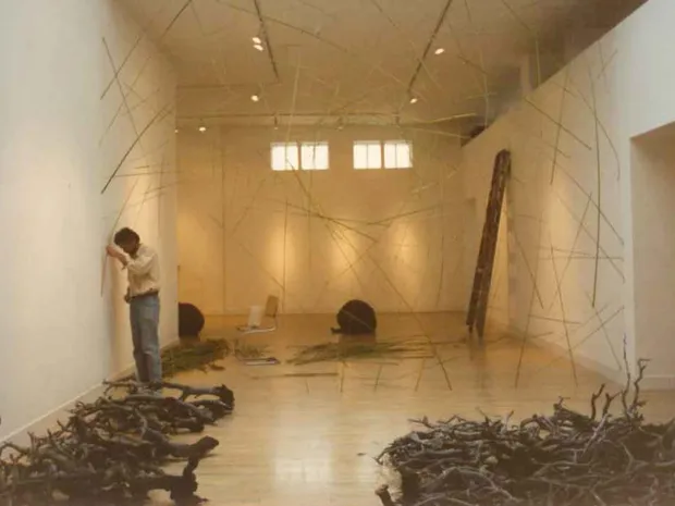 From the Vault A glimpse of just a few of the extraordinary installations that have resulted from nearly thirty years...